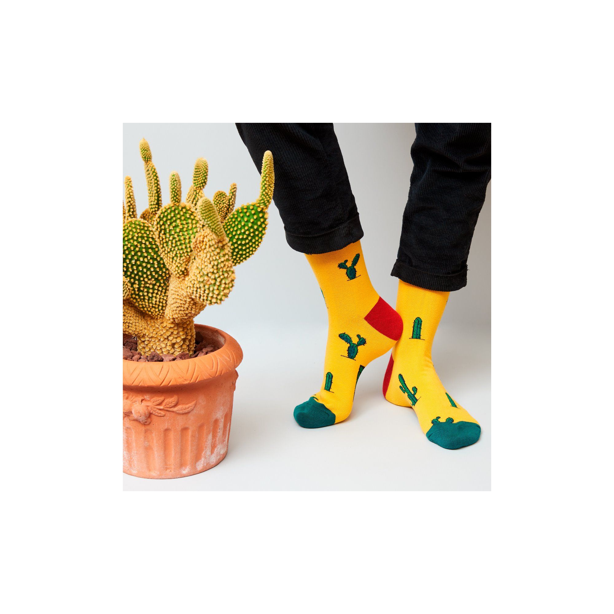 COUNTRY SOCKS MEXICAN CACTUS